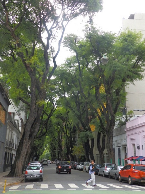 Buenos Aires - Palermo Viejo