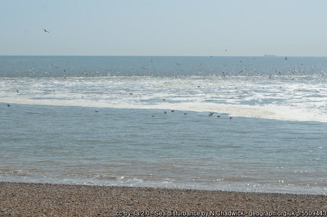 Sea disturbance