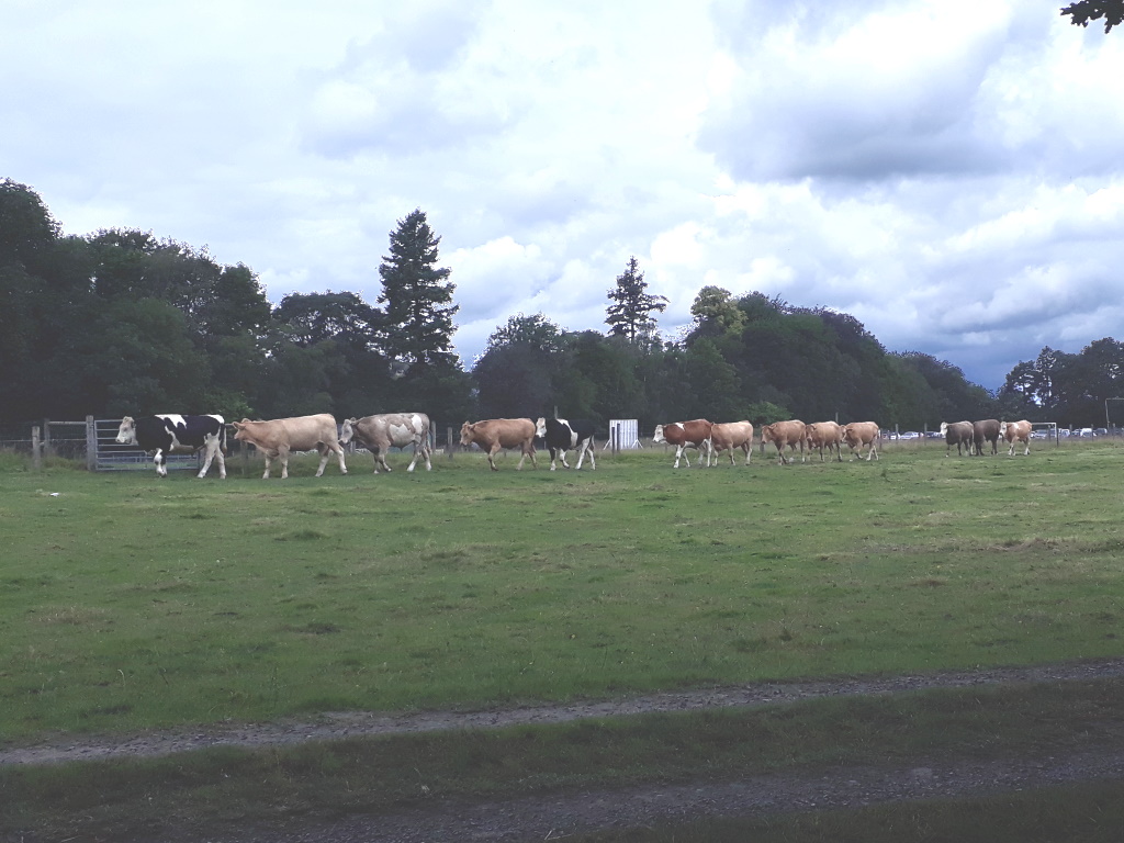 Near Kirkby Lonsdale - Near Devil's Bridge