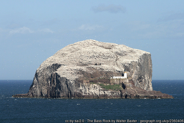 The Bass Rock