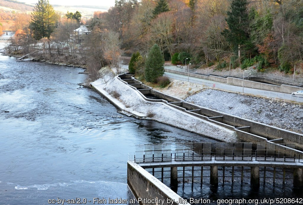 Fish ladder at Pitlochry