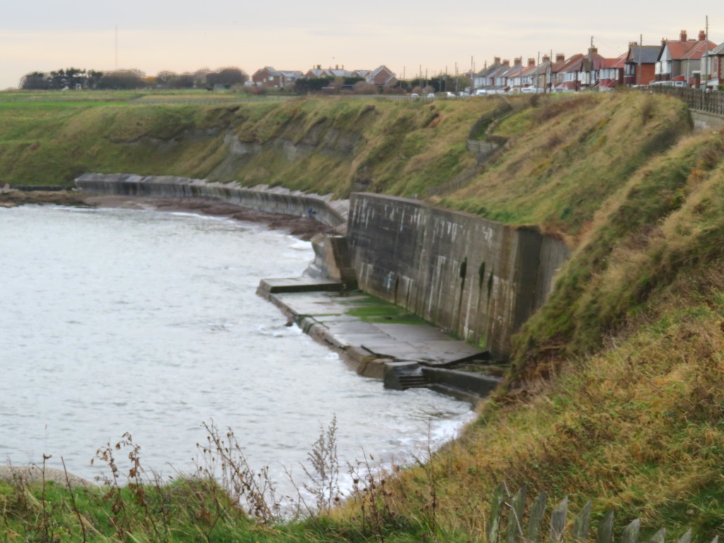 Seaton Sluice - South Cliffs
