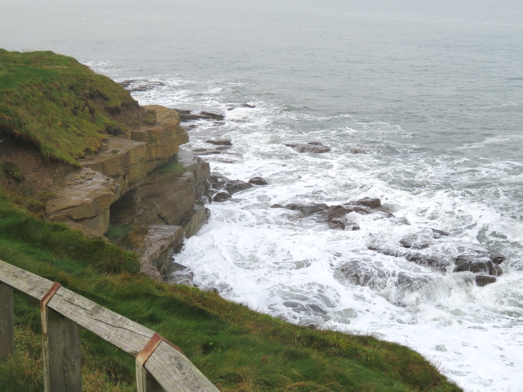 Seaton Sluice - Rocky Island Cliffs