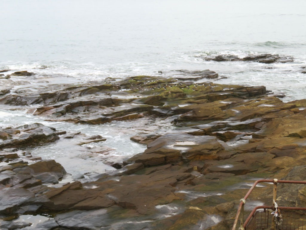 Seaton Sluice - Rocky Island Rocks