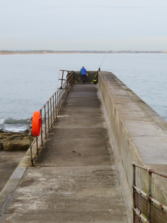Seaton Sluice - Harbour Wall