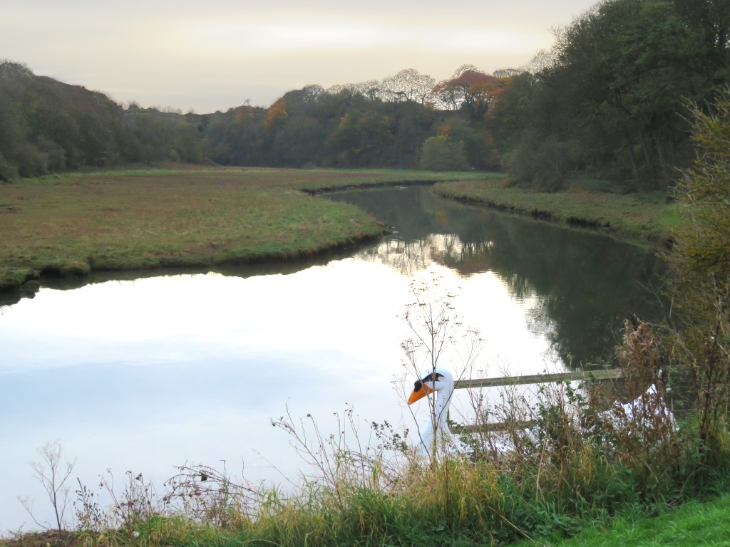 Near Seaton Sluice - Holywell Dene