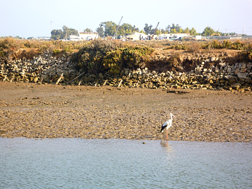 Tavira - Rio Gilão