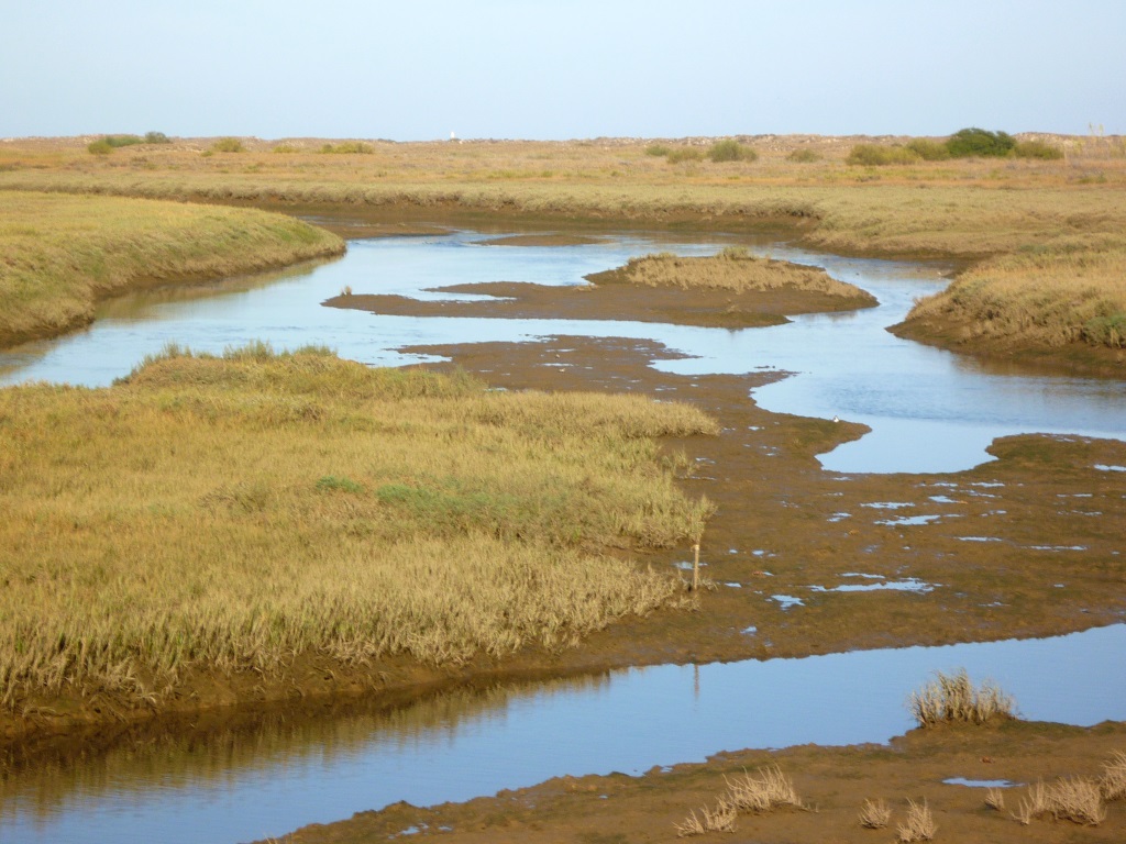 Near Tavira - Salt Marsh