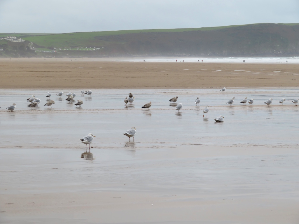 Woolacombe Beach