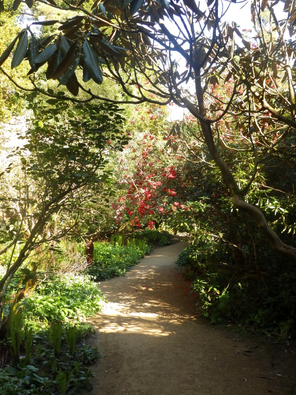 Belsay Hall - Quarry Garden