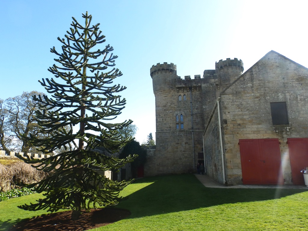 Belsay Hall - Castle