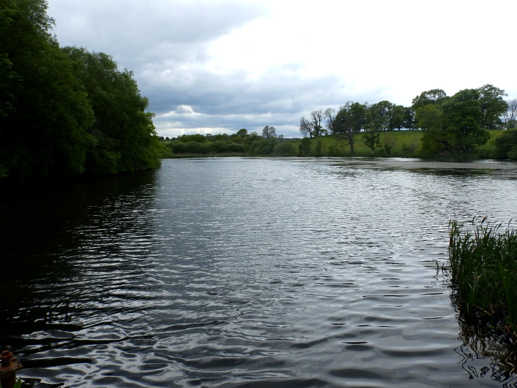 Belsay Hall - Lake near Crag Wood