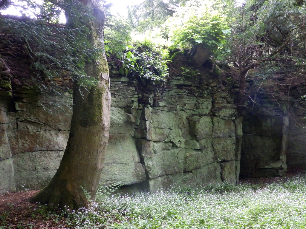 Belsay Hall - Quarry Garden