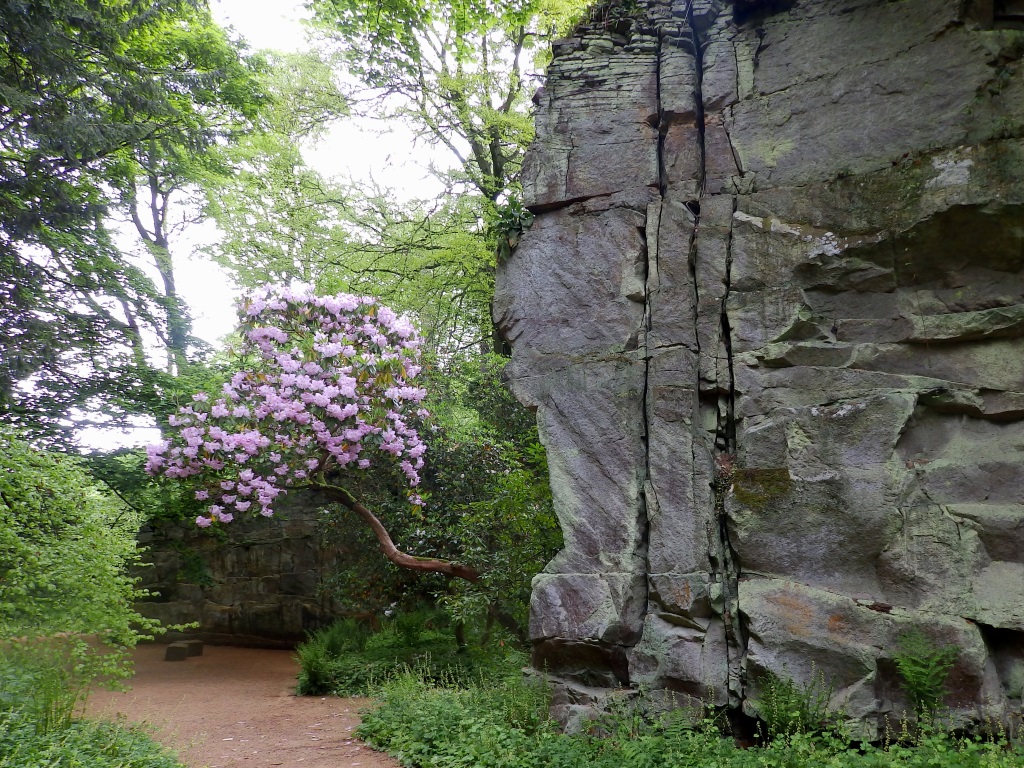 Belsay Hall - Quarry Garden