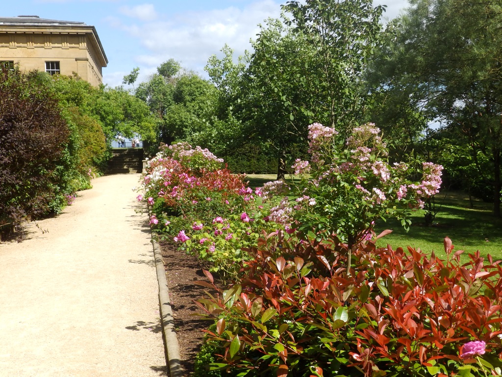 Belsay Hall - Rose Garden