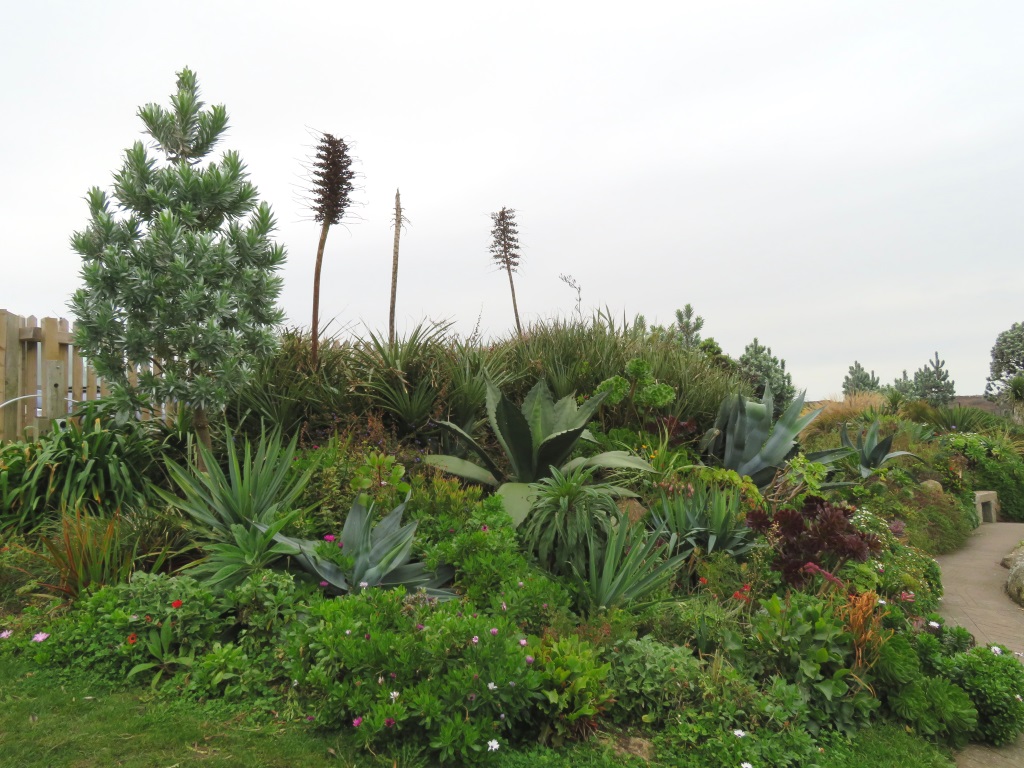 Minack Theatre Gardens