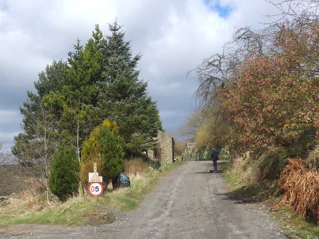 Rookhope - To Bolt's Law Incline