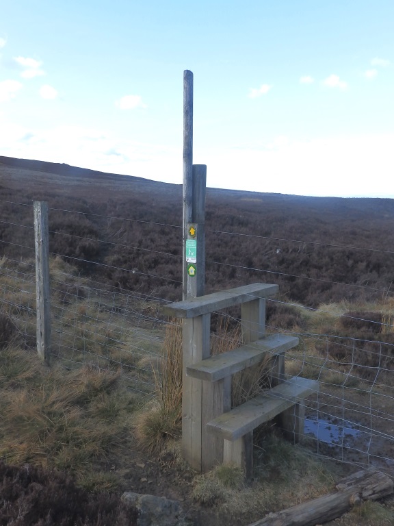 Near Rookhope - To Bolt's Law