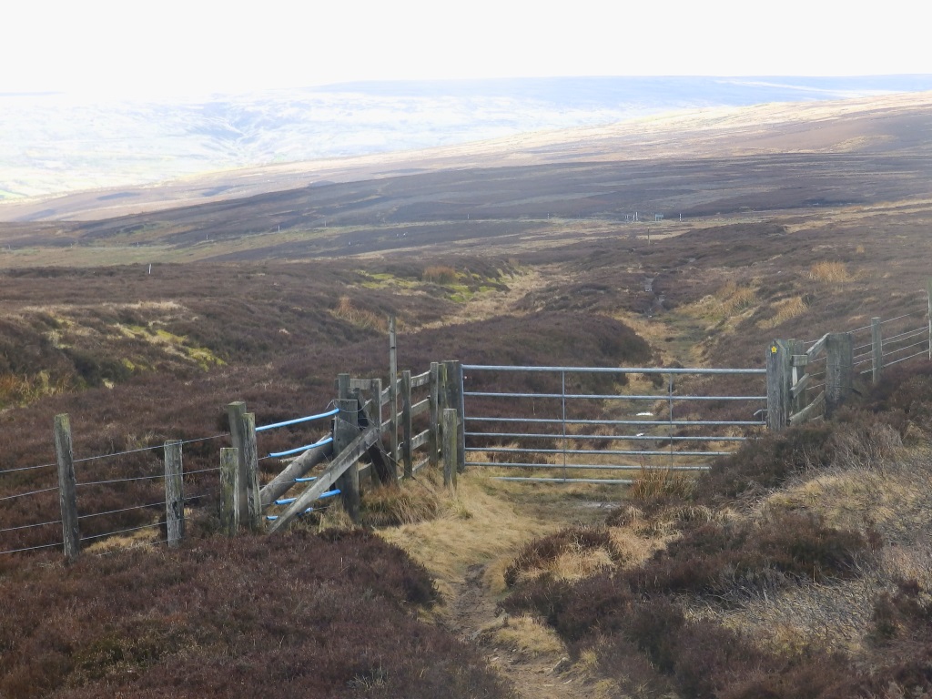 Near Rookhope