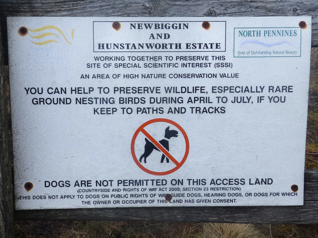 Near Rookhope - From Bolt's Law